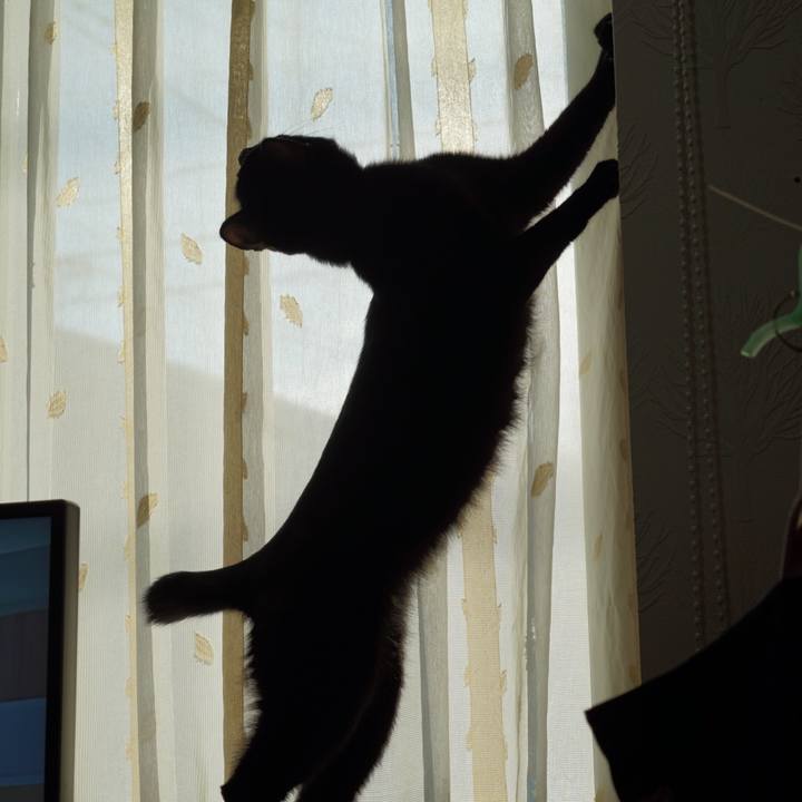 57140add 4c92 405a 80b7 0caef2b016ec 1551743558632