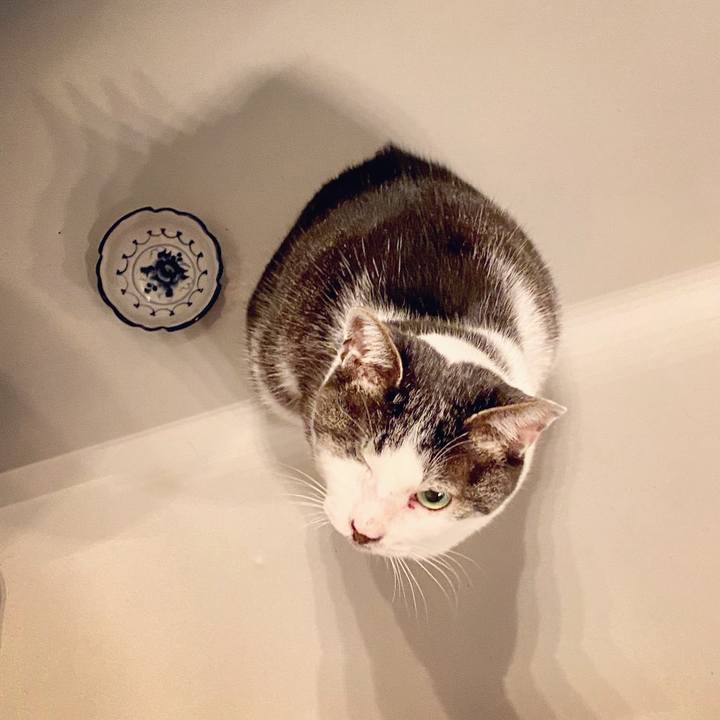 57140b61 ba4a 43df 9063 b892c029cadd 1585756579696