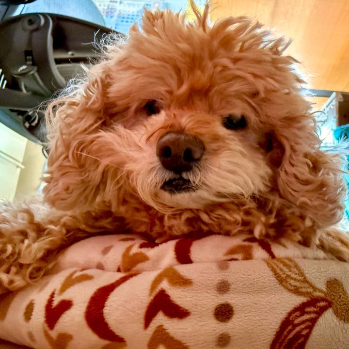 57142a8c 9dda 4de1 be6c 1a543c61b9fd 1771282742990