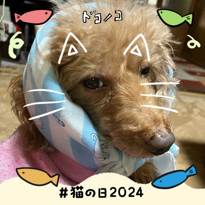 57146e55 808a 4a43 8815 e2508dbb5d1d 1708586536711