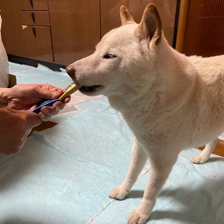 5714ffa9 75c5 4c56 b53d d0757f64f854 1634903347891