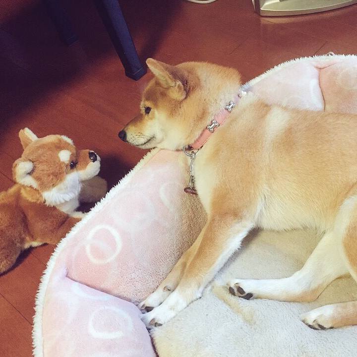 57151b6d 6765 471f 8162 0783f8dcb769 1590820712199