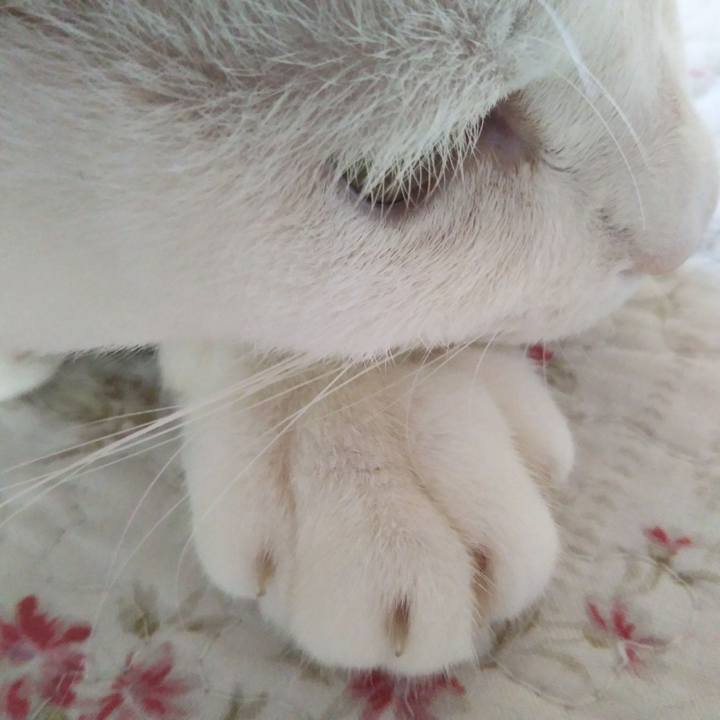 57153261 95c3 4aa4 8d09 6cf49e2ce07b 1601047744863