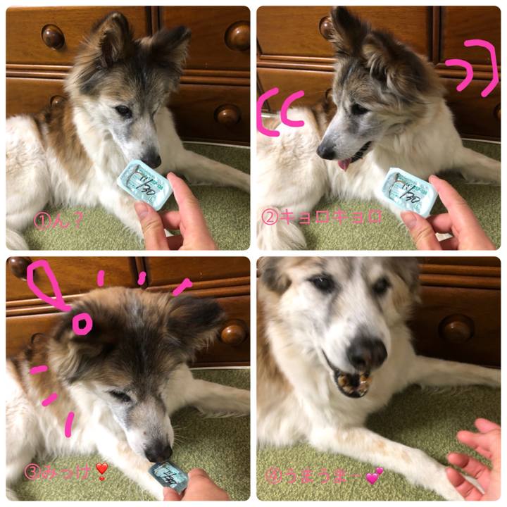 5715356a a9ab 40f9 8bf5 f8b41fdf7c6a 1543540320942