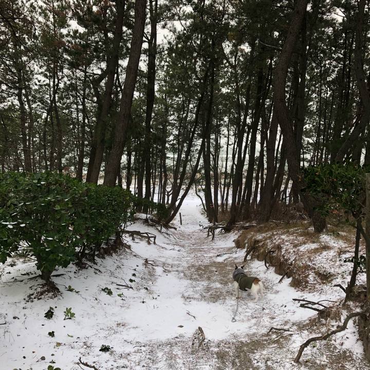 57155d8a 02cf 4e23 9b9b ea543ca56923 1609374943915