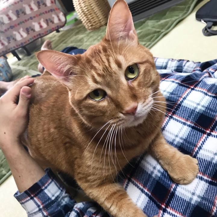 5715a2b3 813f 4a14 a0ea 85fb5e61d52d 1520646527124