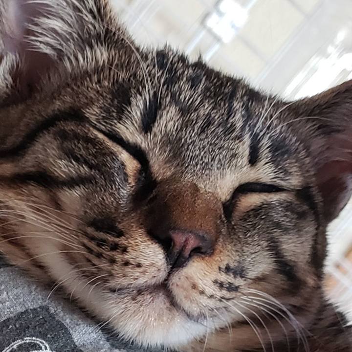 5715c93f 3d43 40f8 b74e a3686479bb6e 1543884575123