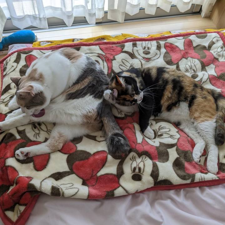 5715d4c8 6a0f 47e7 997e aec9960fd72b 1748241400487