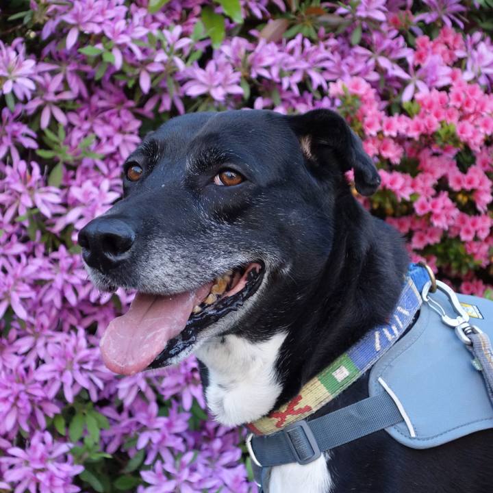 5715d835 d7b3 4687 9222 6baf42ff5441 1713490369386