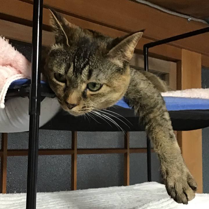 5715f5fc cabf 4e22 9b3f 165d4826db11 1714295680656