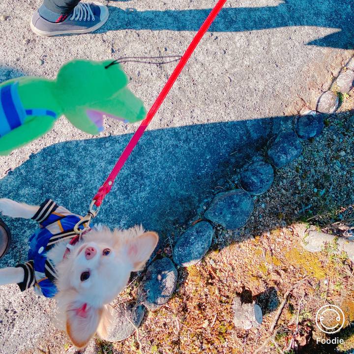 571605b1 4077 4651 8a06 95f45de1ba17 1641371125491