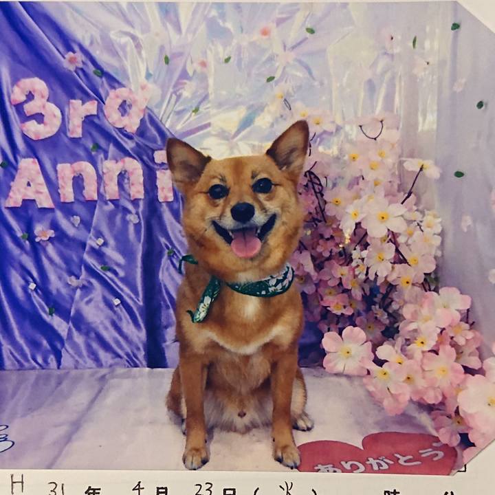 571619db ea4e 46a8 80dc 4dee69e37ae6 1556020171532