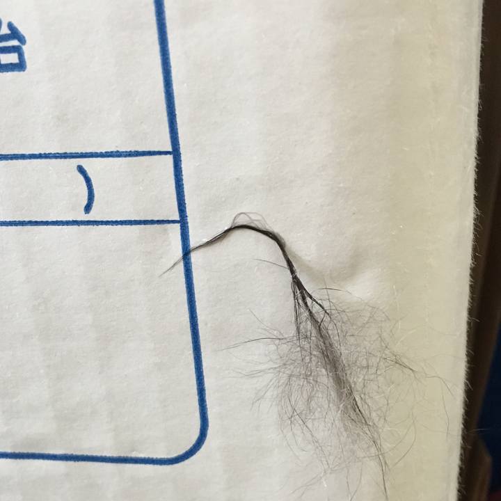 57161d23 2a6d 47d9 9264 cbf3b3d1dd4e 1520223466234