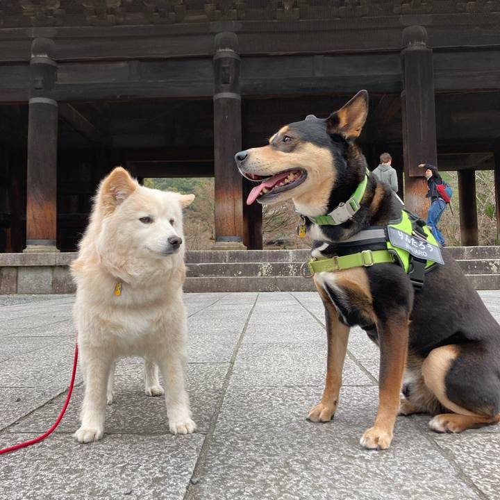 571638bc dd05 4c11 b833 4c91fc8b5968 1679460569642