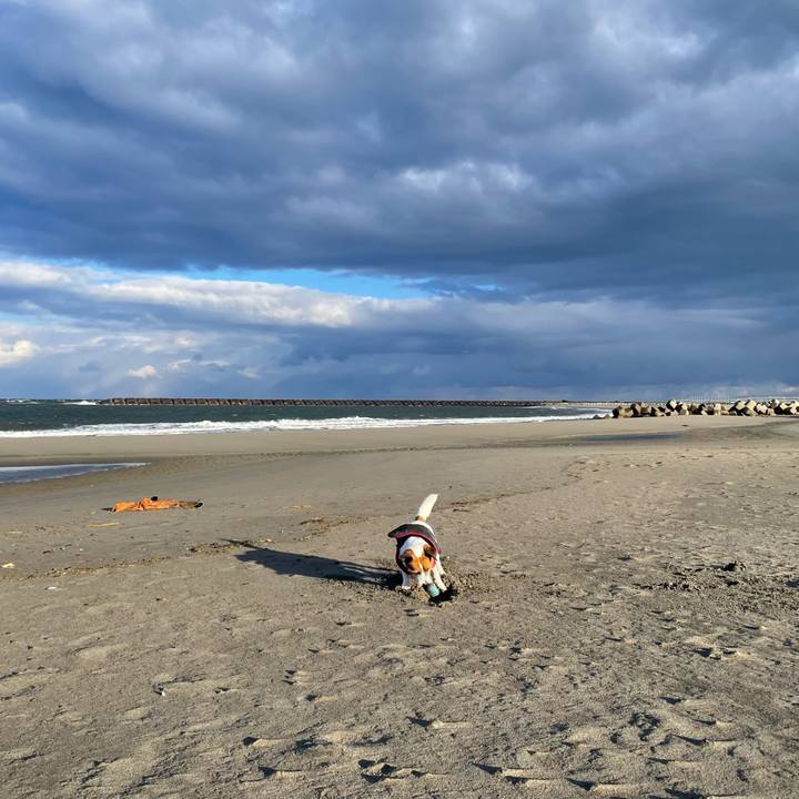 57165b34 092f 447b 878f 8bba6cc489f9 1707609402449