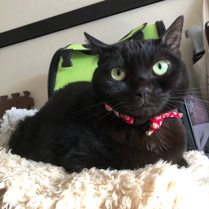 57168861 36dc 4451 aa68 5a1dac59a13e 1605141475860