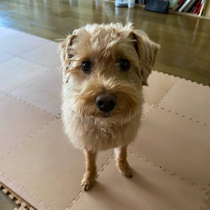 5716b316 171f 45c7 a72c 4bc95a3390df 1616542872727