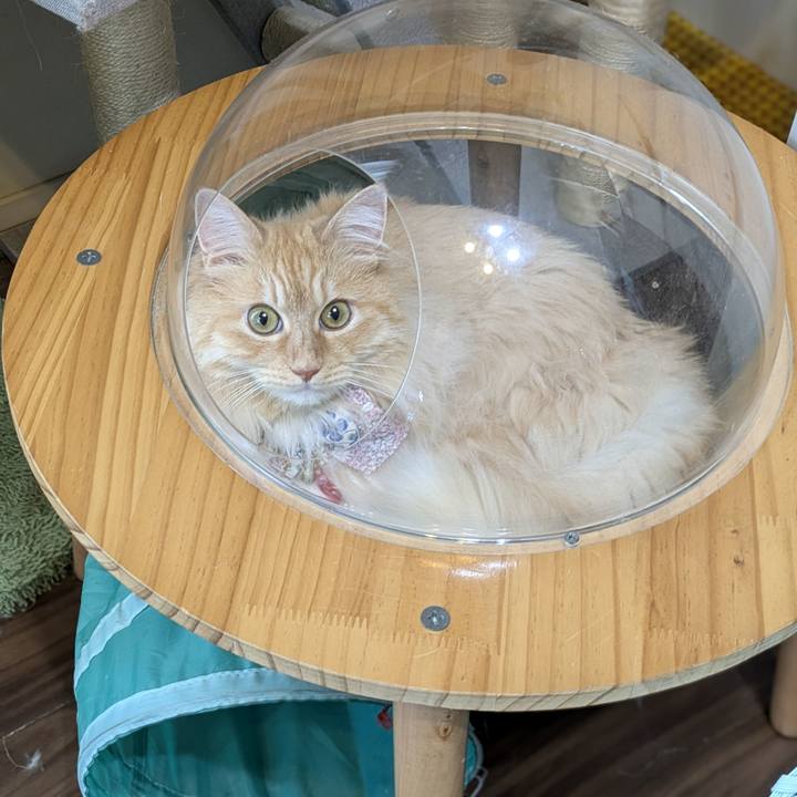 5716b3f5 0604 4d32 a009 533c21cde7fd 1750576834845