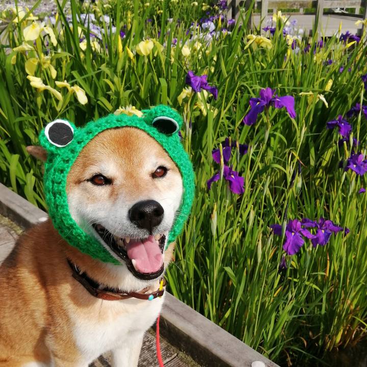 5716cdf0 3375 43a2 a30a 39a35a234026 1655109074499