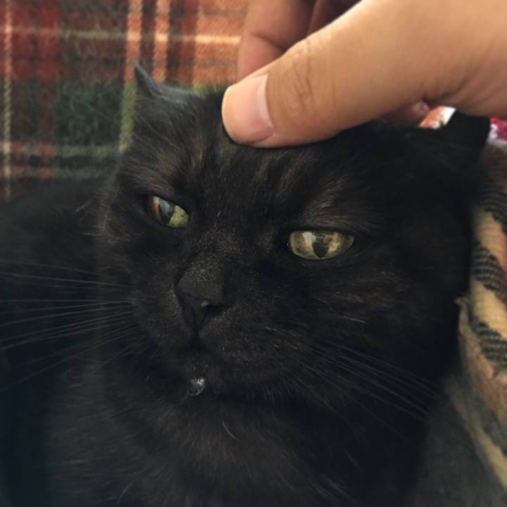 5716d140 9853 4749 8de7 a0f9cdfb81fe 1527812267821