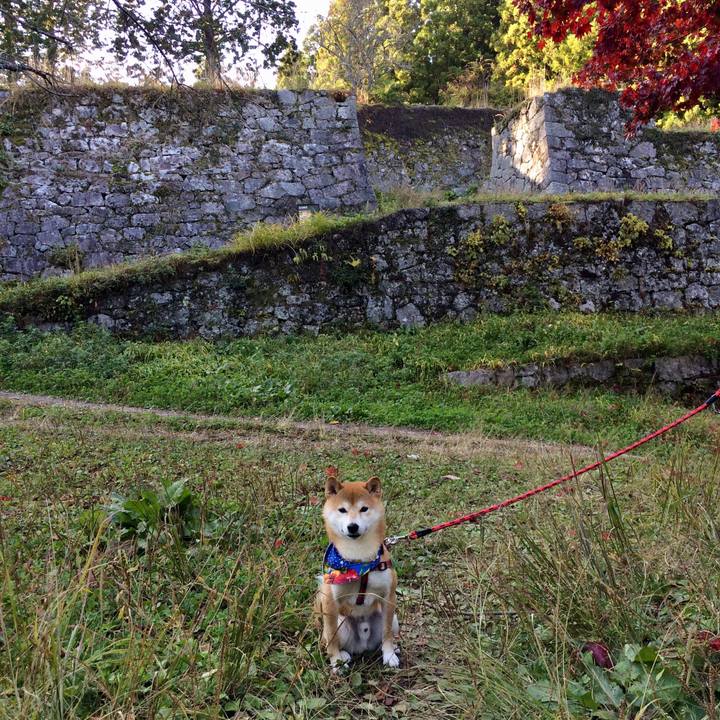 5716eec5 6cdd 42c1 805f 0e200712d5ee 1510313887666