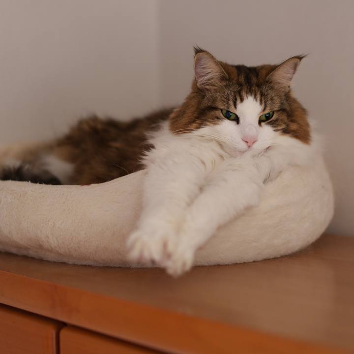 5716f29c f4e3 4f6b a93c 3aad0bbf6ce5 1766736255060