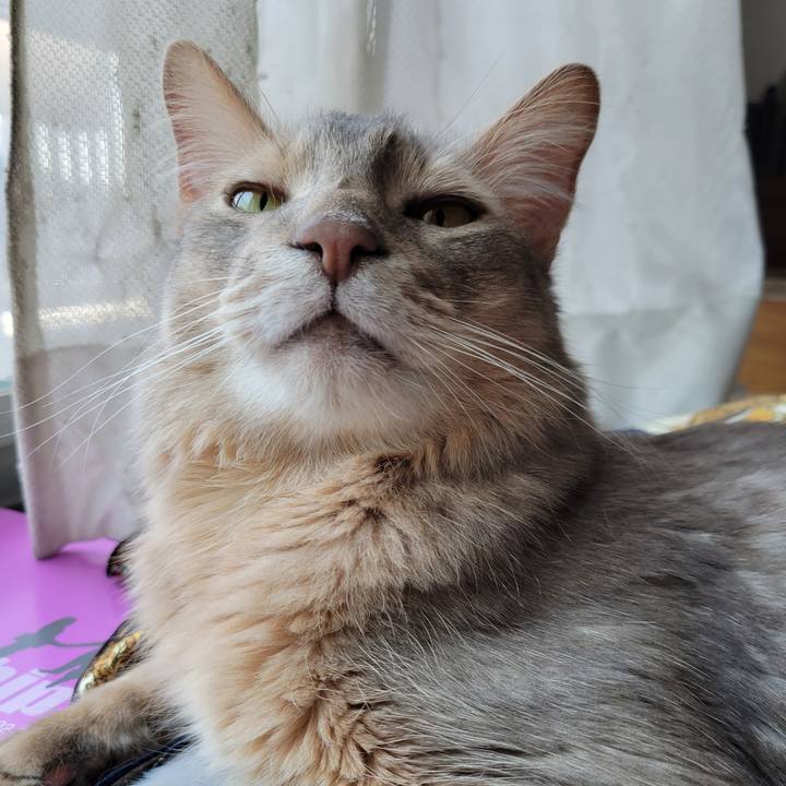 5716f9a8 2cfd 4433 b731 cf5d3bb205df 1653708942203