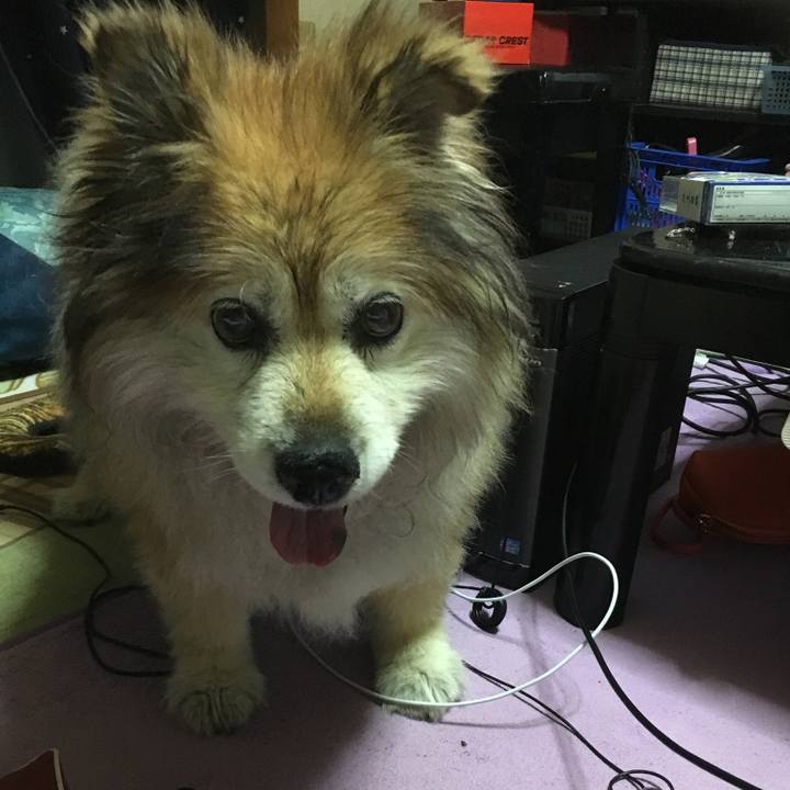 571712ad 5ff3 4a14 b730 50457fbcb3dc 1563257595338