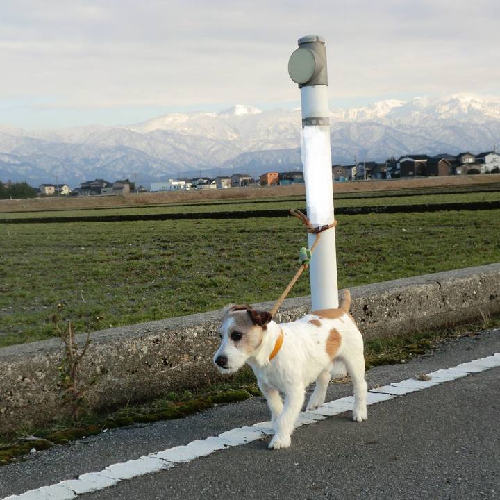 57172e80 c8e9 42ca 9256 2c81c33d3aaa 1550058817898