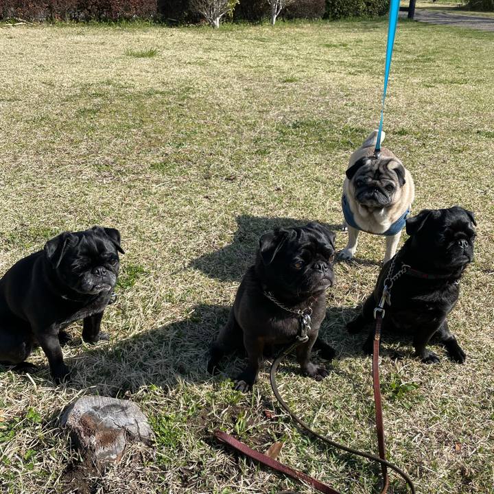 571737c8 7f84 4c67 a129 88f1cb73bcd0 1616899616717