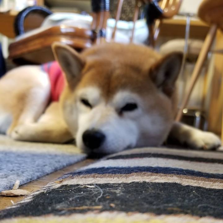 57175f3c f40a 4c6e 9dbc 7b21bc82924e 1583626532801