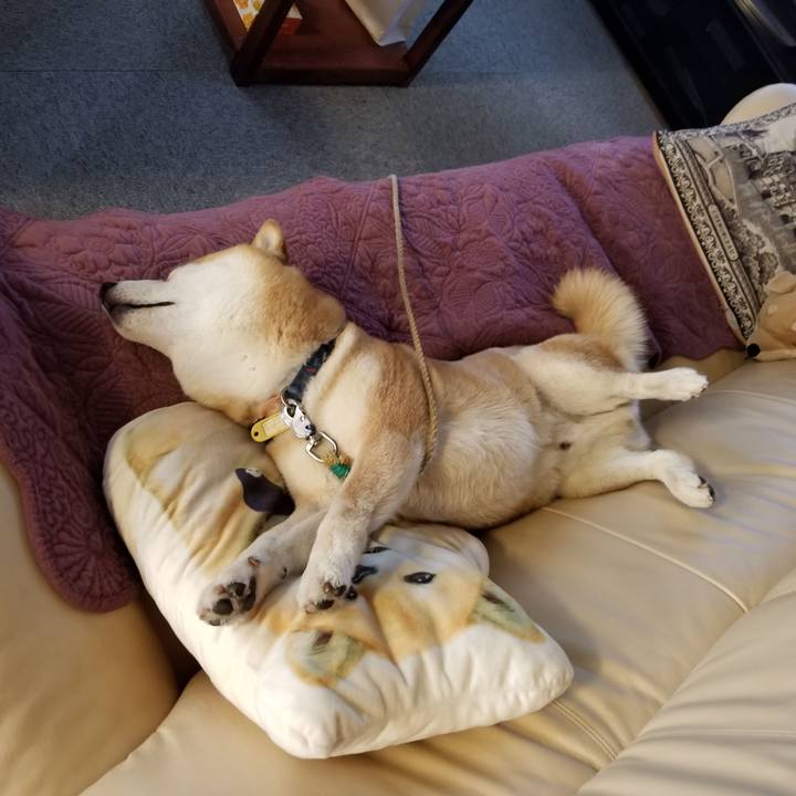 57178de5 146b 49ba a599 9e5488ef0431 1588938387057