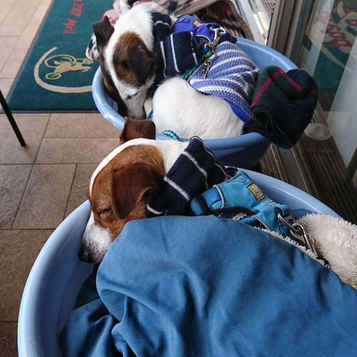 5717ac78 51b9 4899 b231 d7b321fae9dc 1613552660273