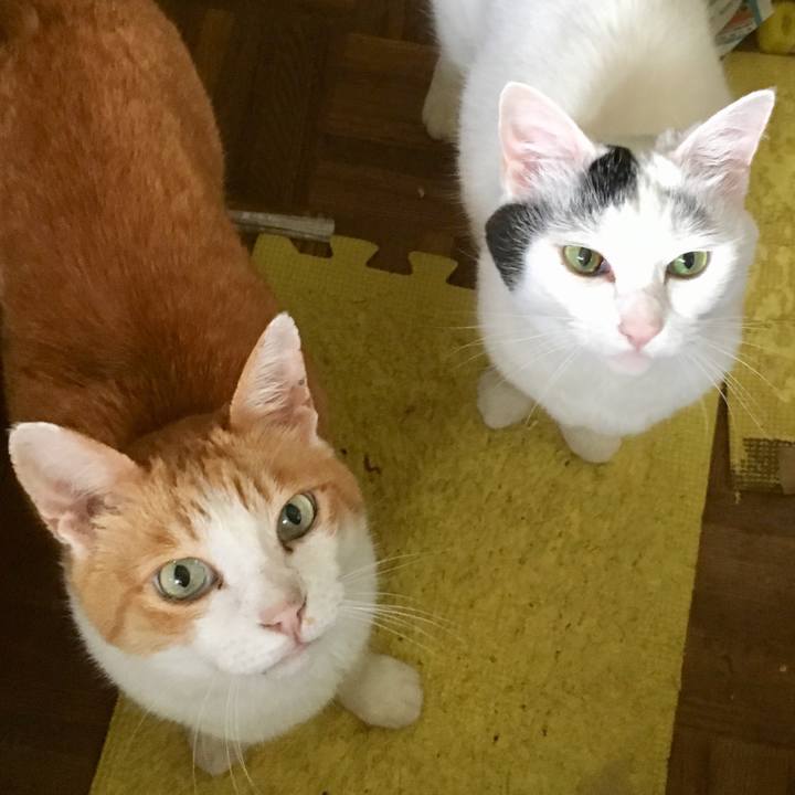 5717b244 d0aa 47b5 814e 075070a44ff5 1564543743814