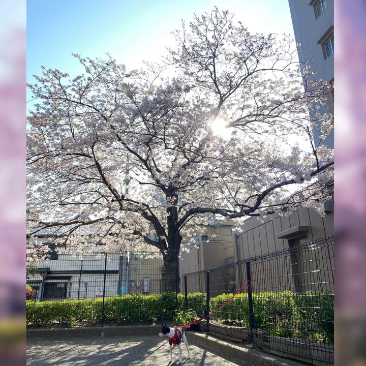 5717d567 0f55 4fd3 b2e5 935f49fb0a4f 1616816567494