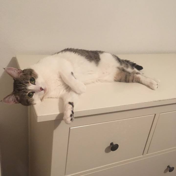 57182c31 181a 48ea 9ced 7848aef660bc 1661696380001