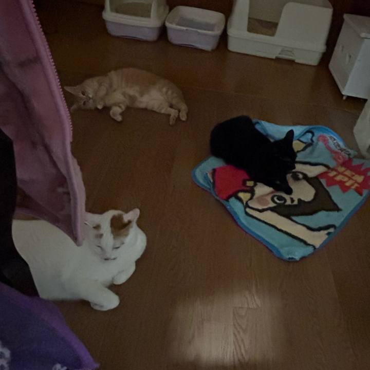 57183f23 ffc9 49e3 81ed 88d44ce9be20 1675086955637