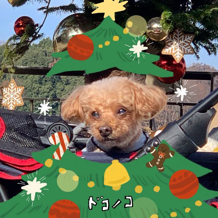 57185e81 fa6c 4a4b bb74 293dd3d46dcf 1766567496172