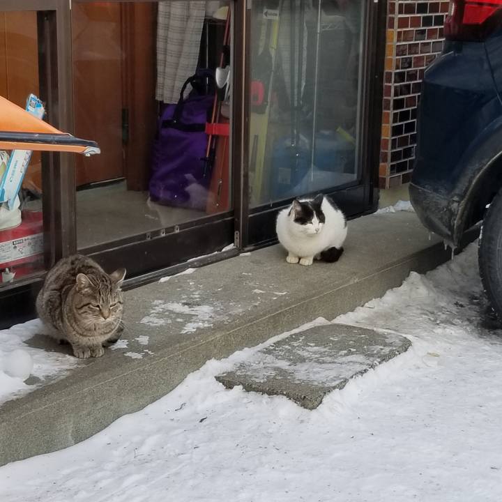 57189e86 1b40 4b43 b7e3 bb52453aa22d 1674974992050