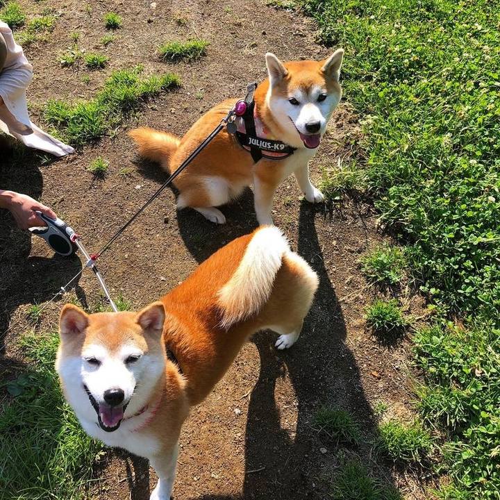 5718b339 3d39 426d 8c71 2936893f6edf 1724045694762