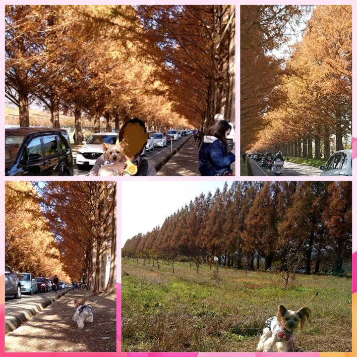 5718b4c4 da47 4c3d 9ead 534a7fb0c16b 1543756750685