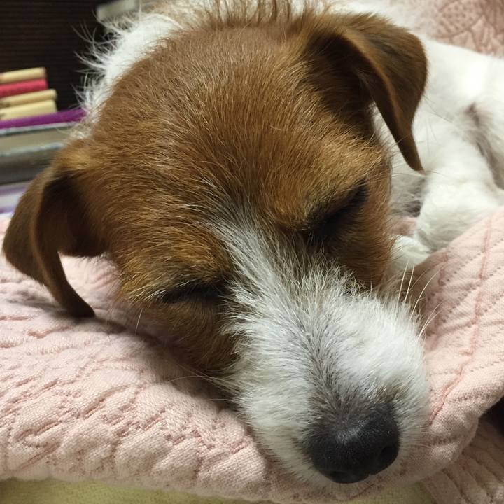 5718db97 dccf 4aa3 b2cc e38c5d3ae5d3 1514549034029