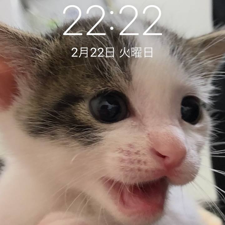 5718debf 9d0a 44d8 b9cb 32ec2e3c297e 1645536285598