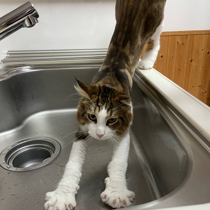 5718f498 a9ae 4488 9ce1 f5a4f528b725 1659556997209