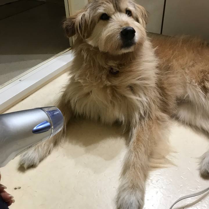 57192c6d 42d0 4319 9cdb 5c506039ab84 1546168957117