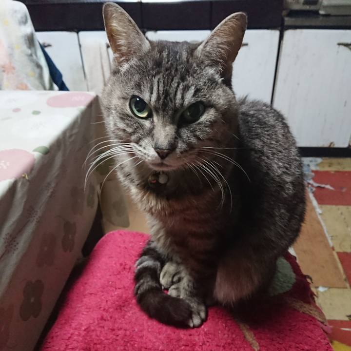 57192d4c 061f 4c7e a613 27ffa5bed420 1555703858828