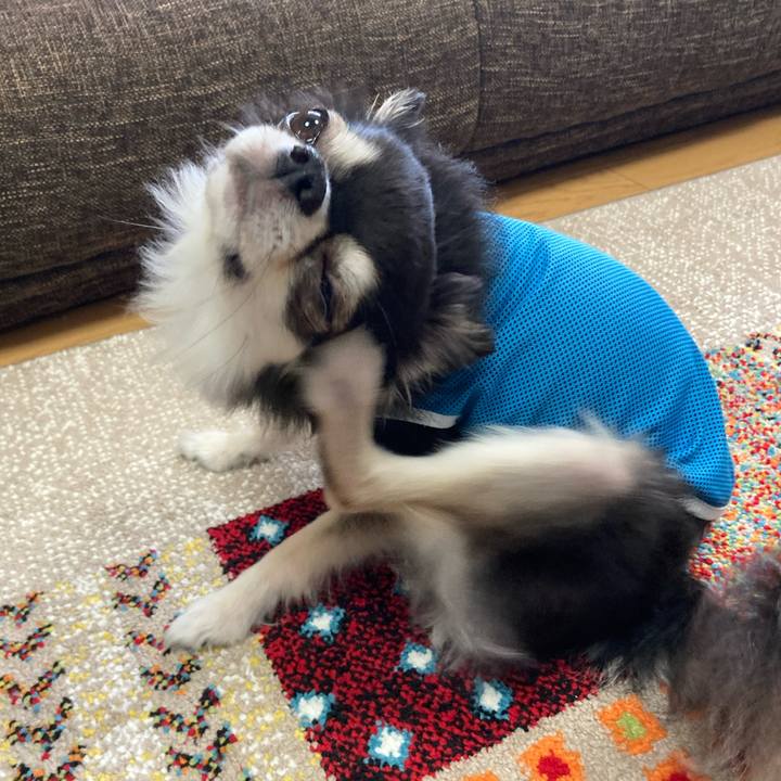 57196f1e a61b 4040 a21c d0d6be0bfeb5 1694964433260