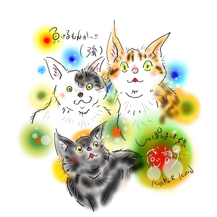 5719bb64 0c90 4e91 a68b 9f592cc32d1d 1609276518370