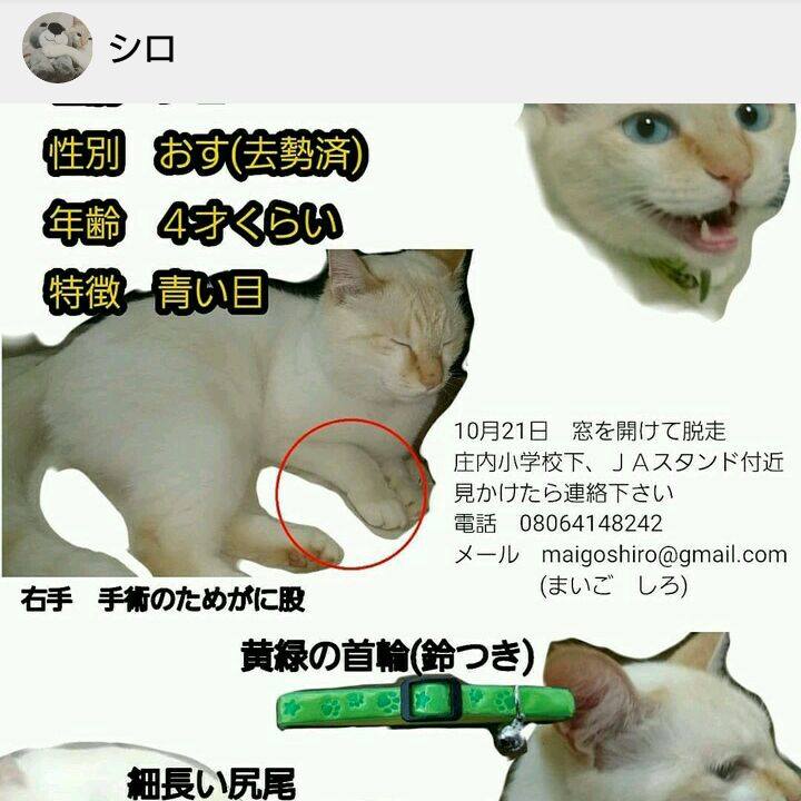 5719d9b6 6ff6 49af 98c6 6be58e559eb6 1509671055104