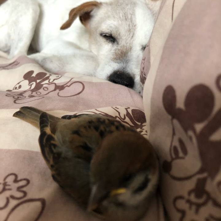 571a0c97 0ce0 46a4 aa1c 369fb67f8706 1593954771050